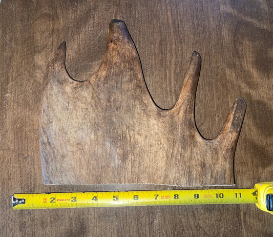 Dec-6 Monster Moose Paddle XL for good chewers