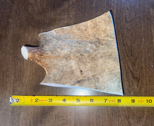 May18 Moose Paddle Chunk for good chewers