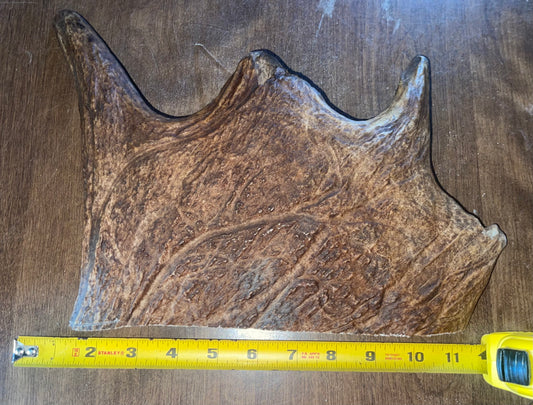 May24 Monster Moose Paddle for good chewers