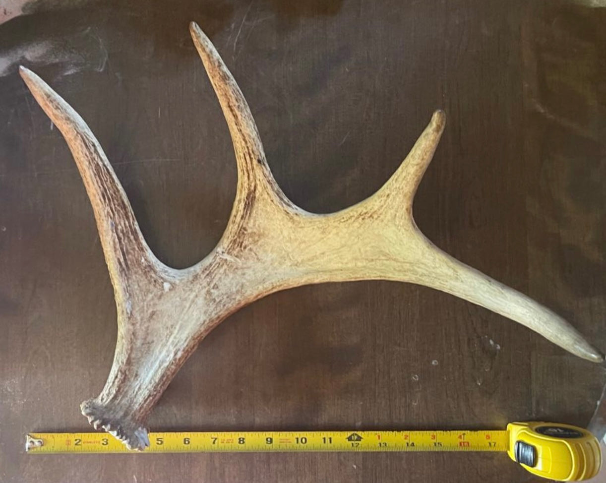 Moose Shed J-23