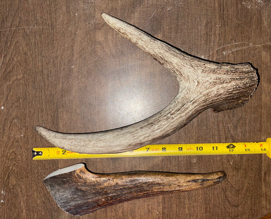 #7- 8/17/23 Moose Claw/TineDuo