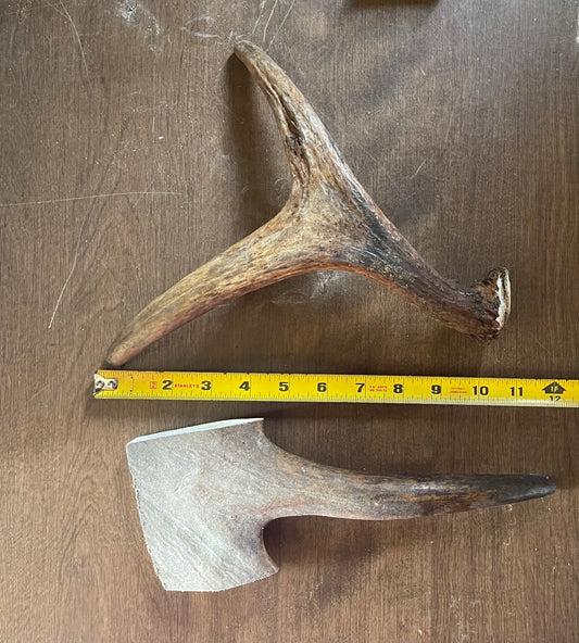 Moose Shed/Tine Duo J-19