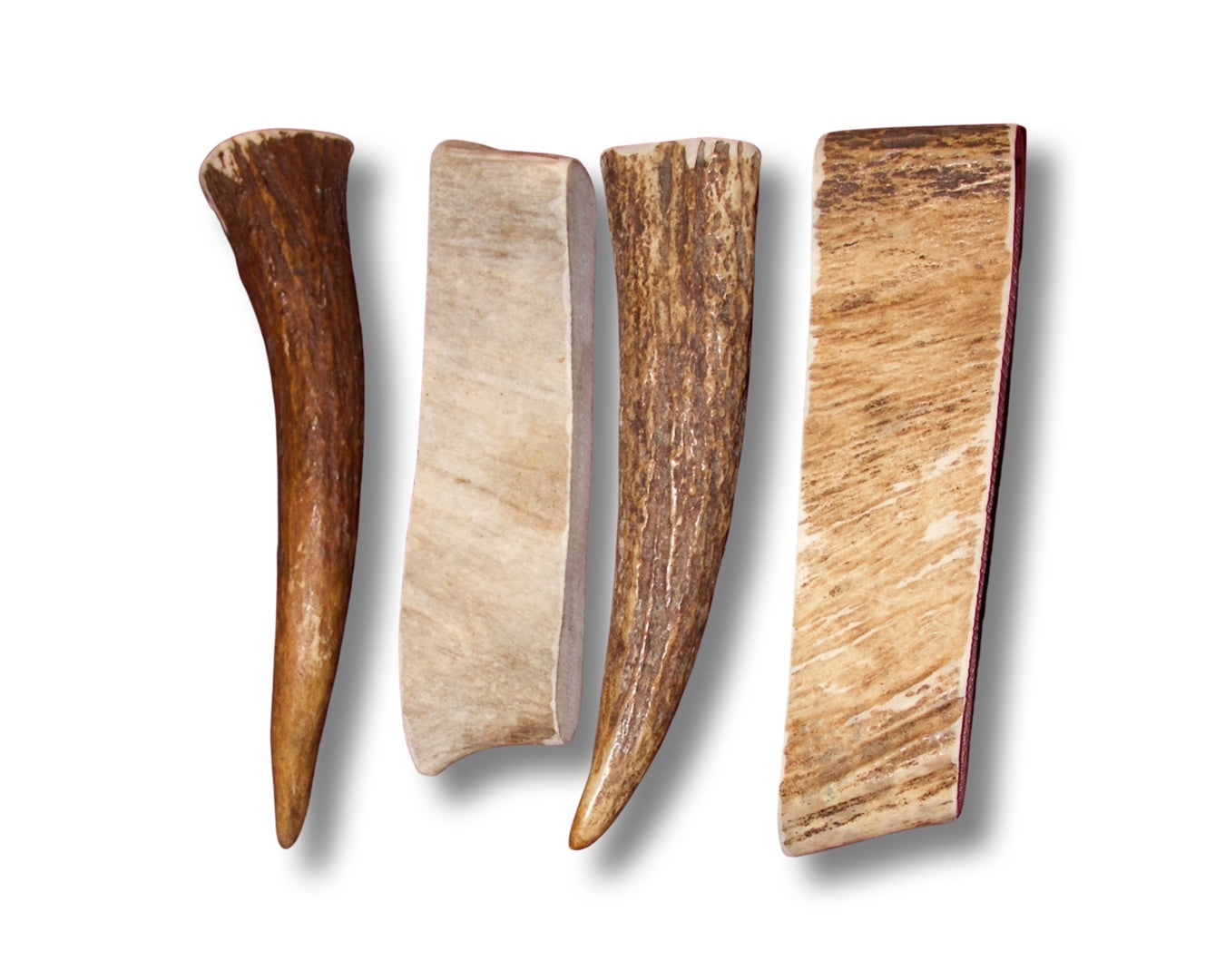 Large Moose Antler Paddle For Dogs Up To 50 Pounds. Lighter Chewers