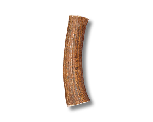 Monster Elk Antler For Dogs Over 85 Pounds For Powerful Chewers
