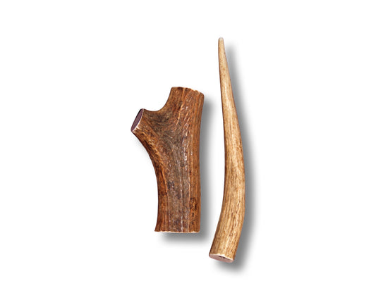 Extra Large Elk Antler For Dogs Over 60 Pounds