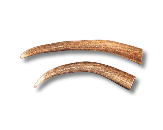Large Elk Antler For Dogs Up To 50 Pounds