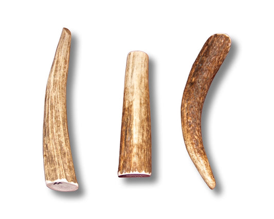 Medium Elk Antler For Dogs Up To 25 Pounds