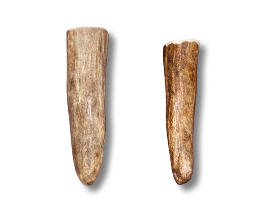 Small Moose Antler Tine For Dogs Up To 10 pounds for Very Good Chewers